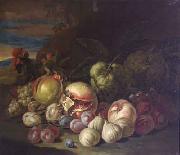 Jakob Bogdani Grapes and Peaches oil painting reproduction